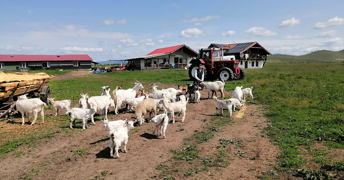 Szakmai tanácsadás, ügyintézés, támogatás